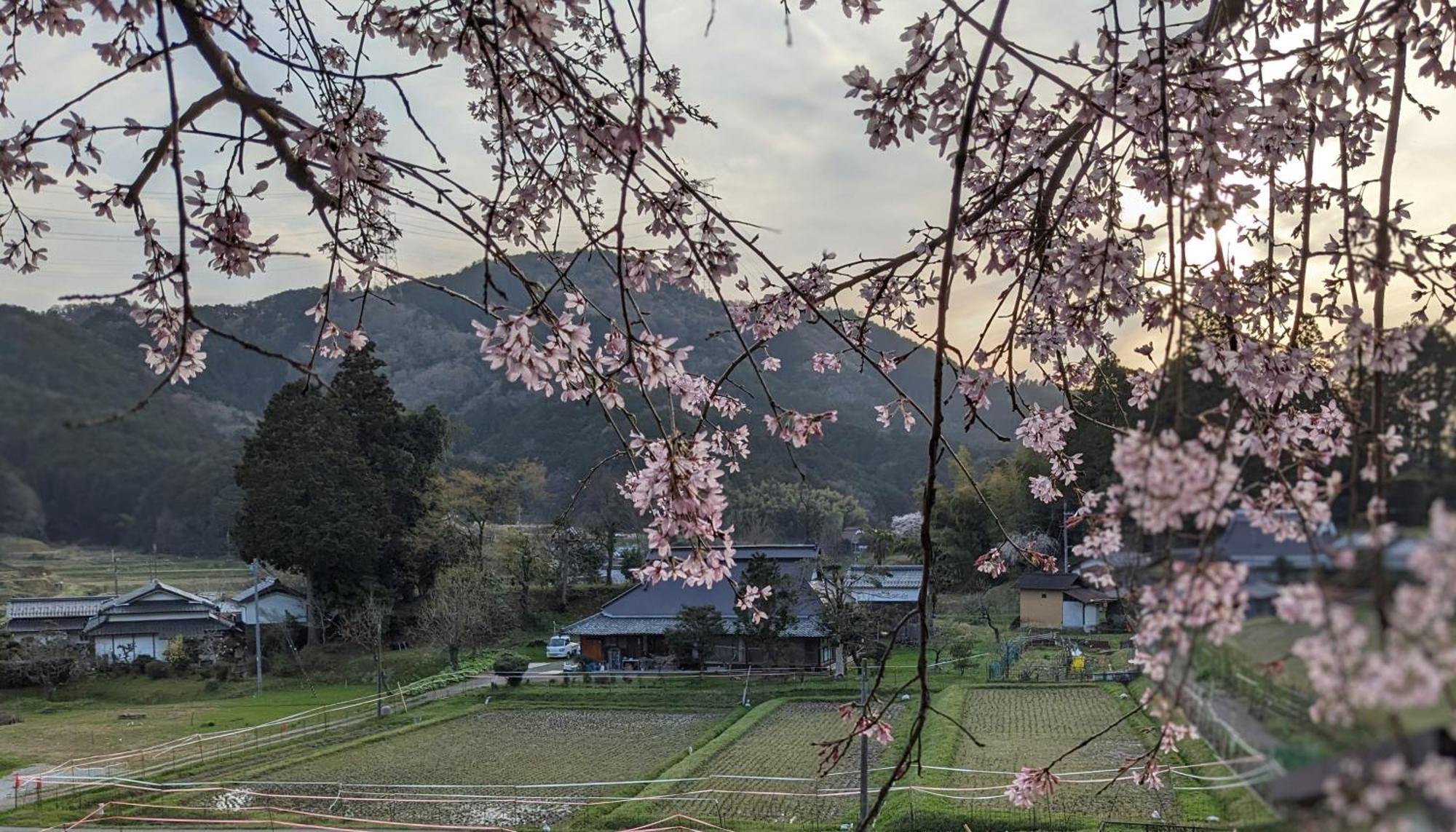 一汁一菜の宿　ちゃぶダイニング Ichiju Issai No Yado Chabu Dining Unforgettable Farmstay Experience In Deep Kyoto Ayabe Exteriör bild