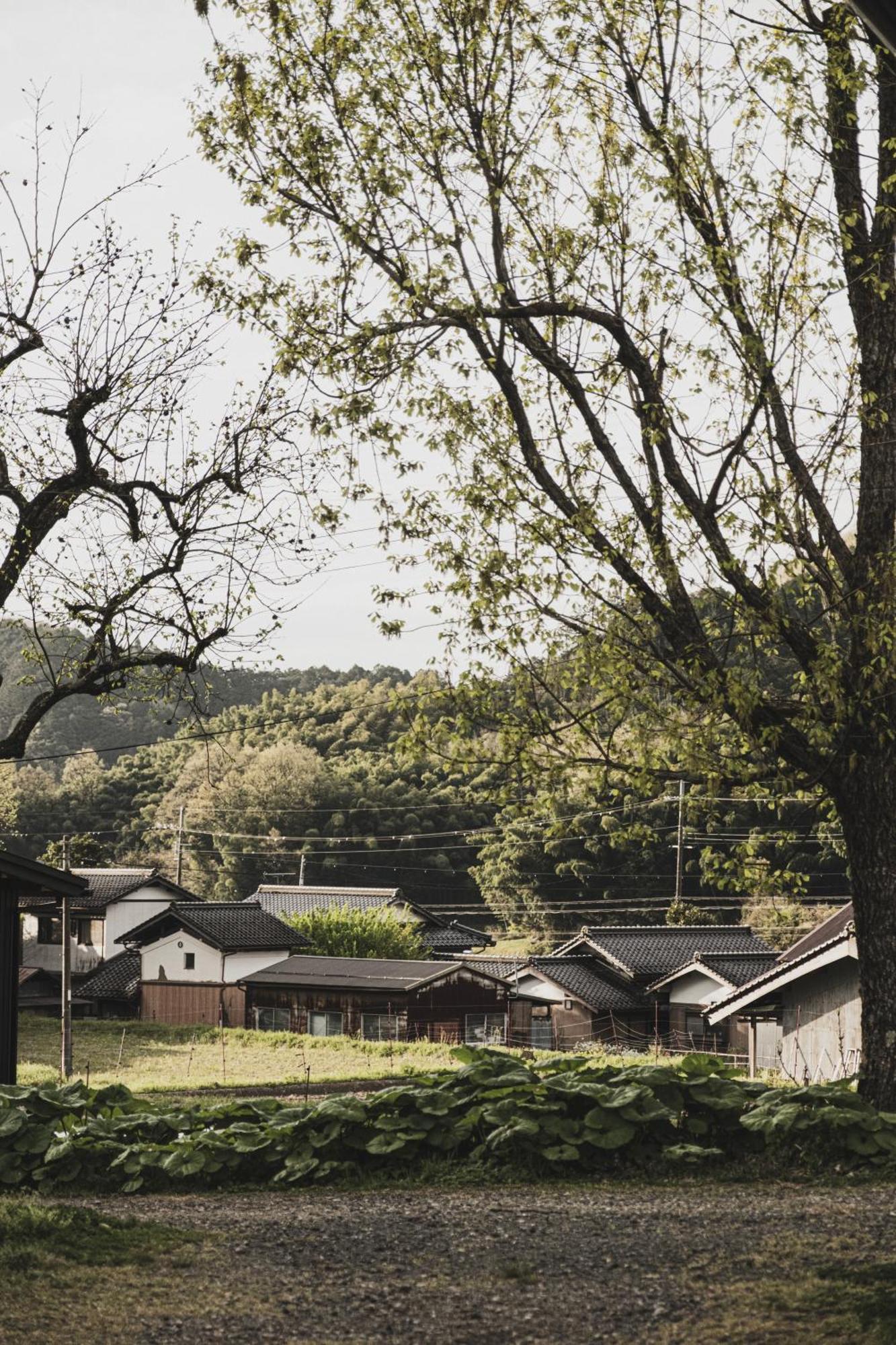 一汁一菜の宿　ちゃぶダイニング Ichiju Issai No Yado Chabu Dining Unforgettable Farmstay Experience In Deep Kyoto Ayabe Exteriör bild
